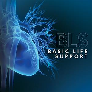 BLS Provider Course Logo